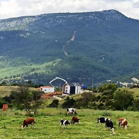 Antalya Taurus Tiny House Séjour à la campagne