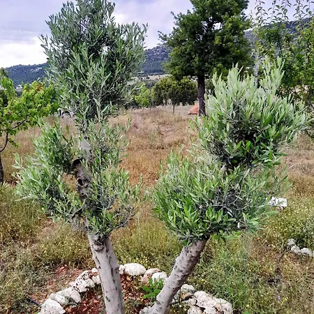 Antalya Taurus Tiny House 乡村民宿