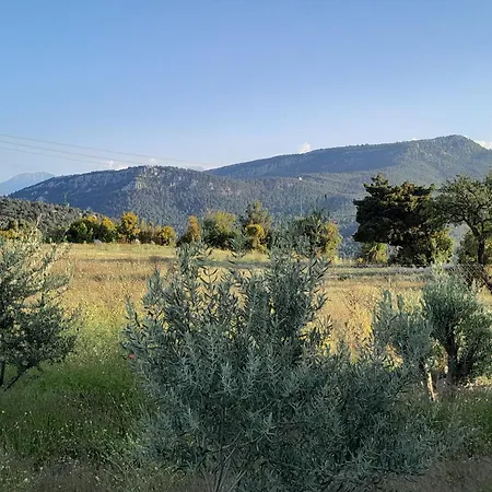 Antalya Taurus Tiny House 乡村民宿