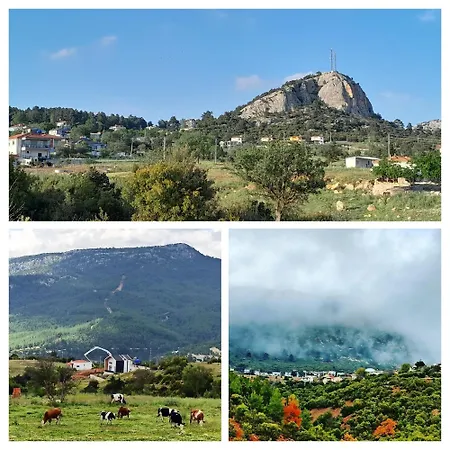 Antalya Taurus Tiny House 乡村民宿