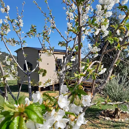 Antalya Taurus Tiny House 乡村民宿