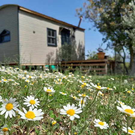Antalya Taurus Tiny House Kemeragzi